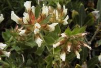 2003-04-14-023-Unknown
