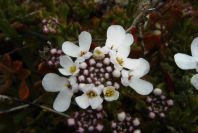 2003-04-14-032-Unknown