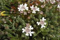 2003-04-14-033-Unknown