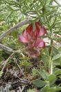 2003-04-14-035-Unknown