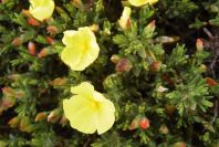 2003-04-14-036-Unknown