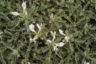 2003-04-14-039-Unknown