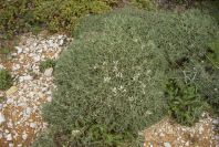 2003-04-14-040-Unknown