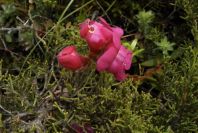 2003-04-14-044-Unknown