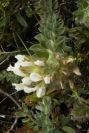 2003-04-14-046-Unknown
