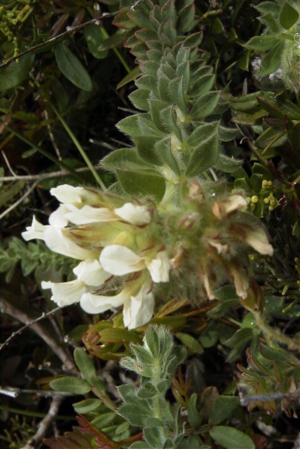 2003-04-14-046-Unknown