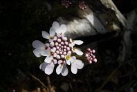 2003-04-14-049-Unknown