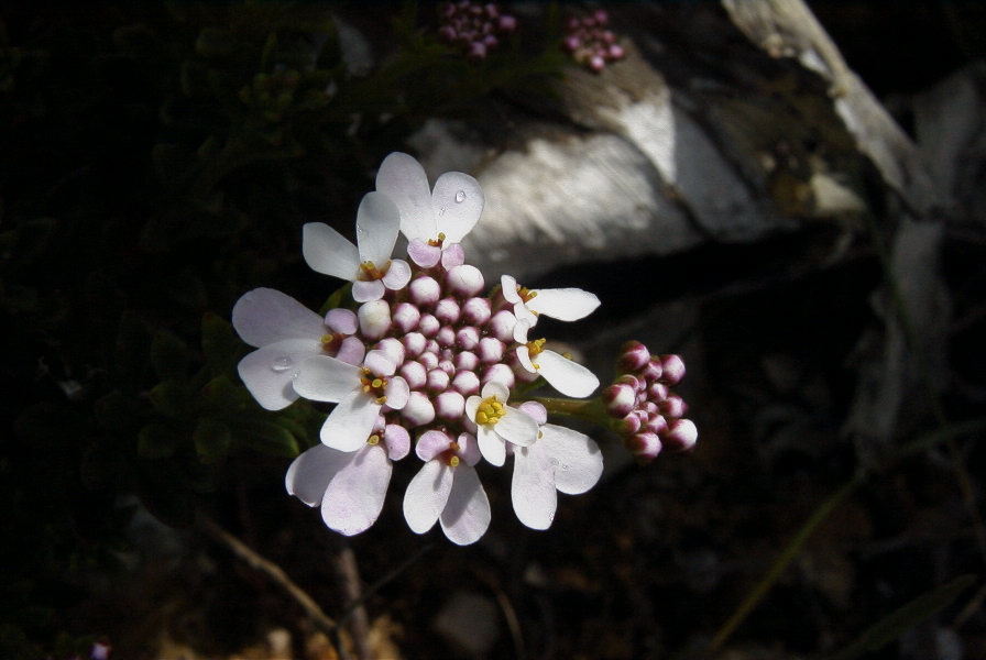 2003-04-14-049-Unknown