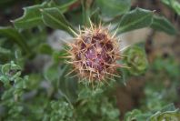 2003-04-14-051-Unknown