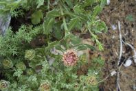 2003-04-14-052-Unknown