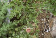 2003-04-14-053-Unknown