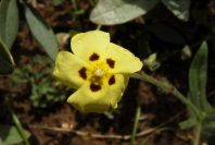 2003-04-14-057-Unknown