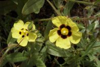 2003-04-14-058-Unknown