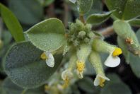 2003-04-16-014-Unknown