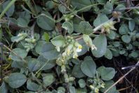 2003-04-16-015-Unknown