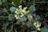 2003-04-16-016-Unknown