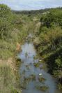 2003-04-16-020-Stream
