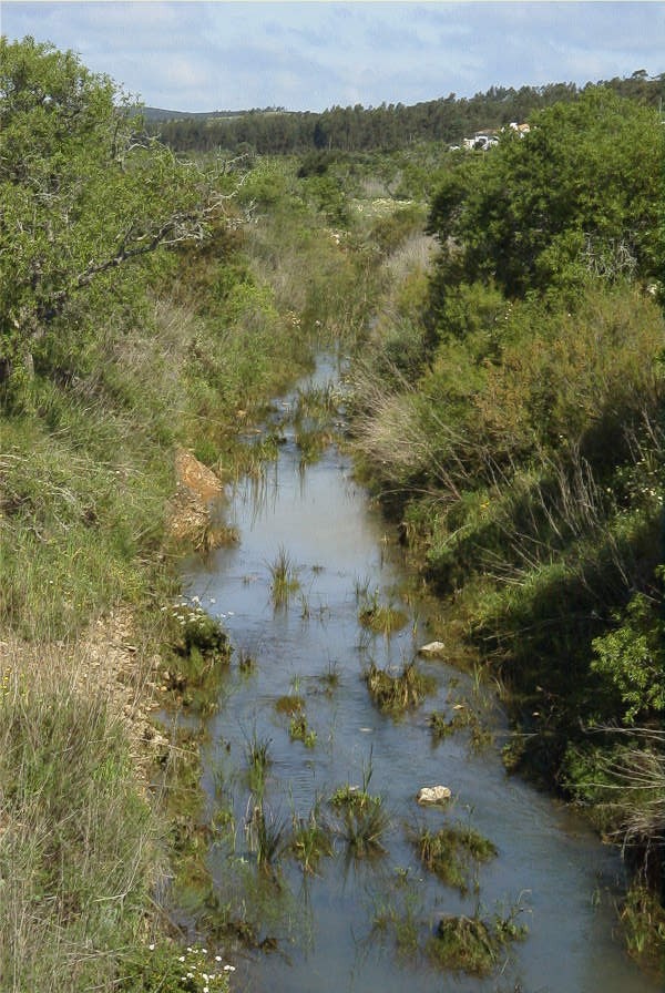 2003-04-16-020-Stream