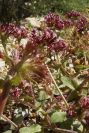 2003-04-16-032-Unknown