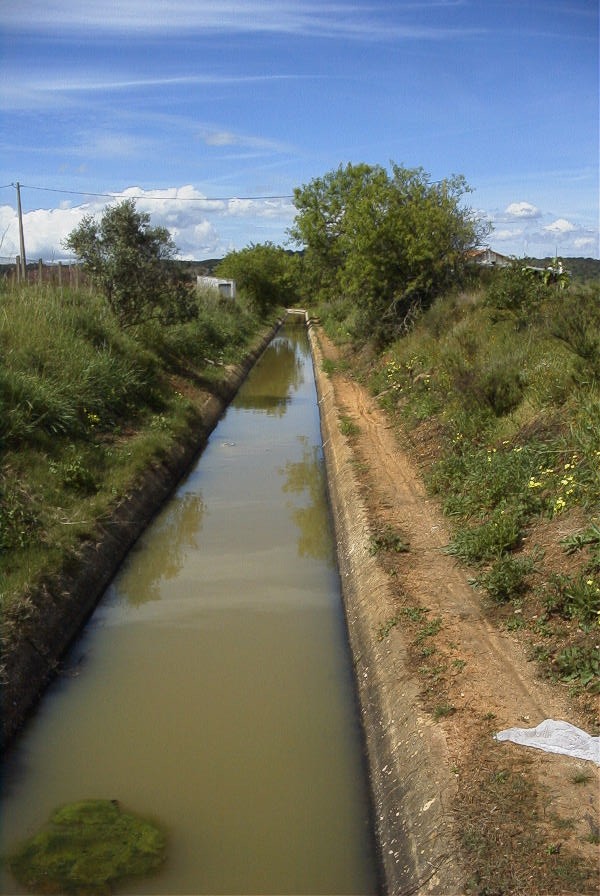 2003-04-17-064-Levada