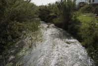 2003-04-18-003-Stream