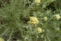 2003-04-18-044-Unknown