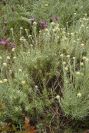 2003-04-18-046-Unknown
