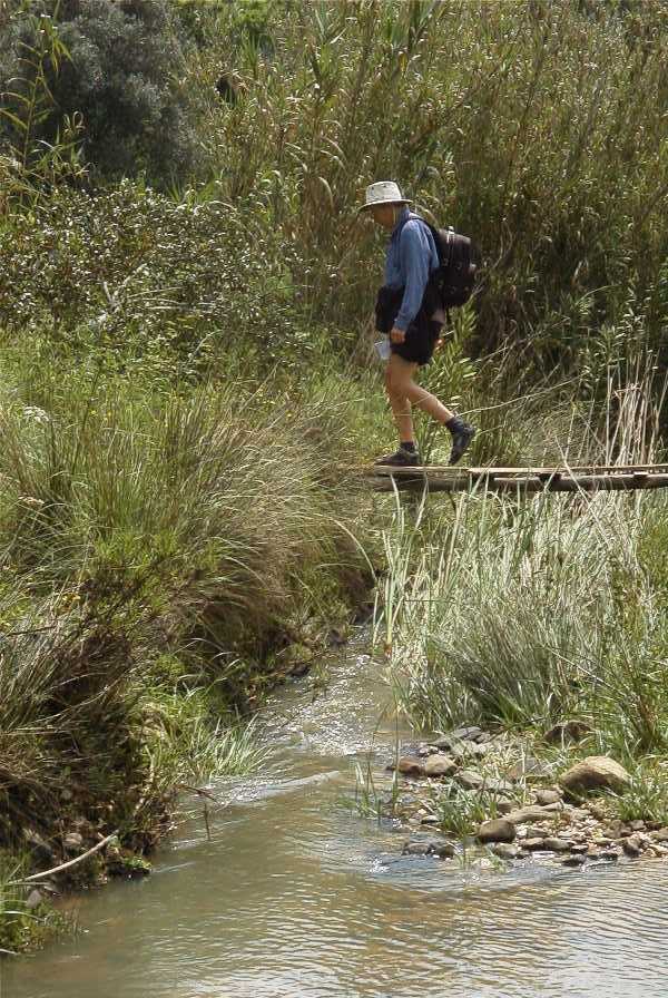 2003-04-18-047-Bridge-over-a-stream