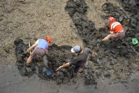 2003-04-19-004-Digging-for-shellfish