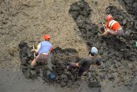 2003-04-19-005-Digging-for-shellfish