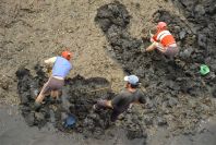 2003-04-19-006-Digging-for-shellfish