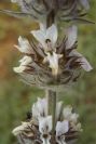 2003-04-19-019-Unknown
