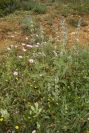 2003-04-19-022-Unknown
