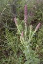 2003-04-19-023-Unknown