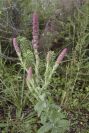 2003-04-19-024-Unknown