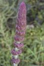 2003-04-19-025-Unknown