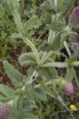 2003-04-19-026-Unknown