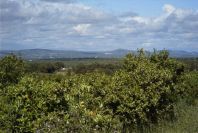 2003-04-20-034-View