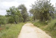 2003-04-23-014-Road-to-Istanbul