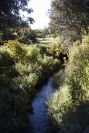 2004-04-05-006-Stream