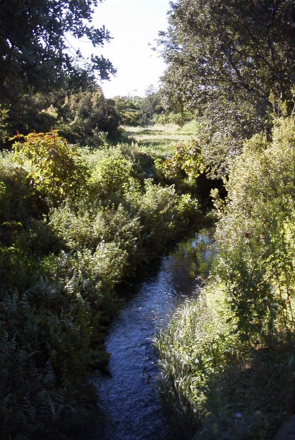 2004-04-05-006-Stream