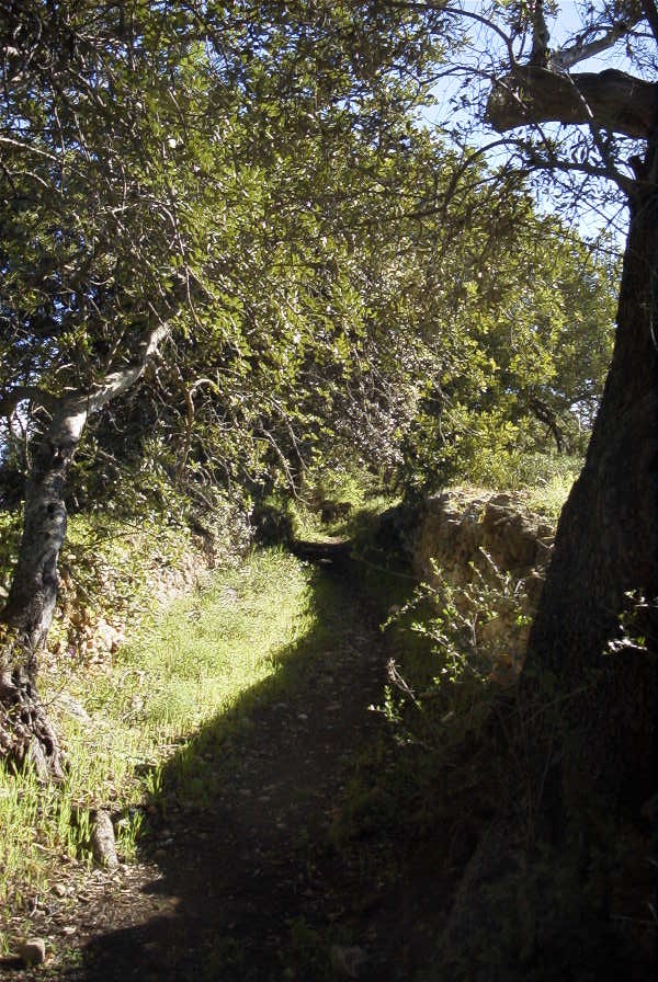 2004-04-05-007-Rural-foot-path