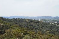 2004-04-05-031-Typical-scenery