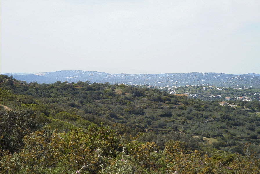 2004-04-05-031-Typical-scenery