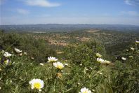 2004-04-06-014-Hillside-scenery