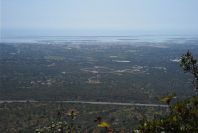 2004-04-06-045-Wetlands