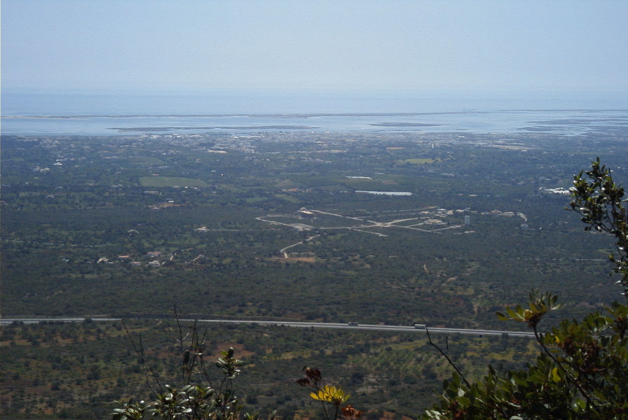 2004-04-06-045-Wetlands
