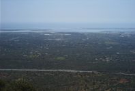 2004-04-06-046-Wetlands