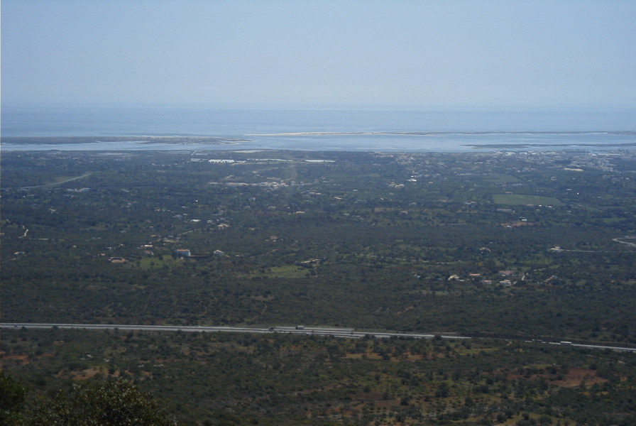 2004-04-06-046-Wetlands