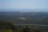 2004-04-06-047-Wetlands